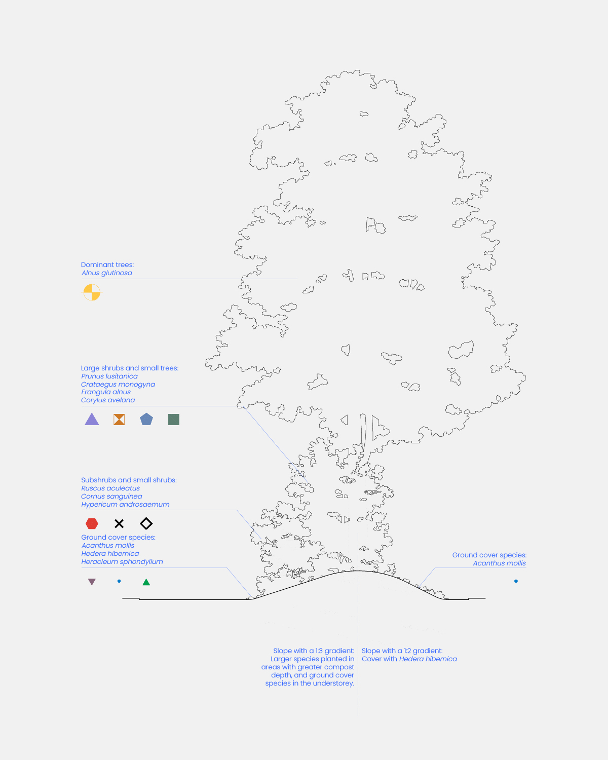 Interior garden - Detailed vegetation plan